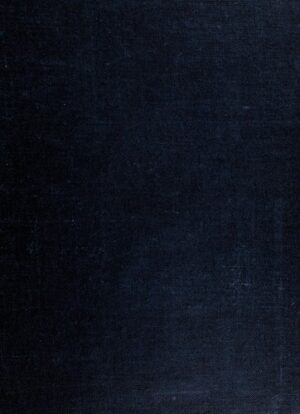 10056797 l.jpg