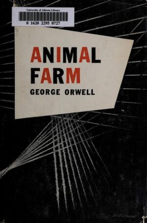11261770 l.jpg