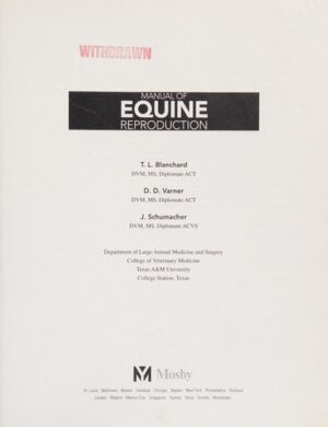 12985420 l.jpg