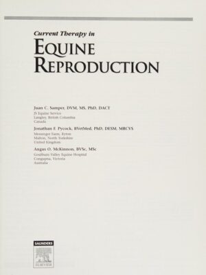 13159492 l.jpg