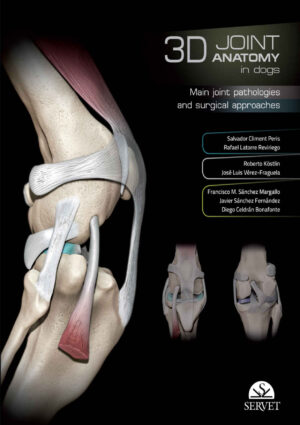 3d joint anatomy in dogs main joint pathologies and surgica 1.jpg