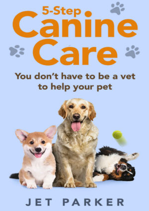 5 step canine care you don t have to be a vet to help your .jpg