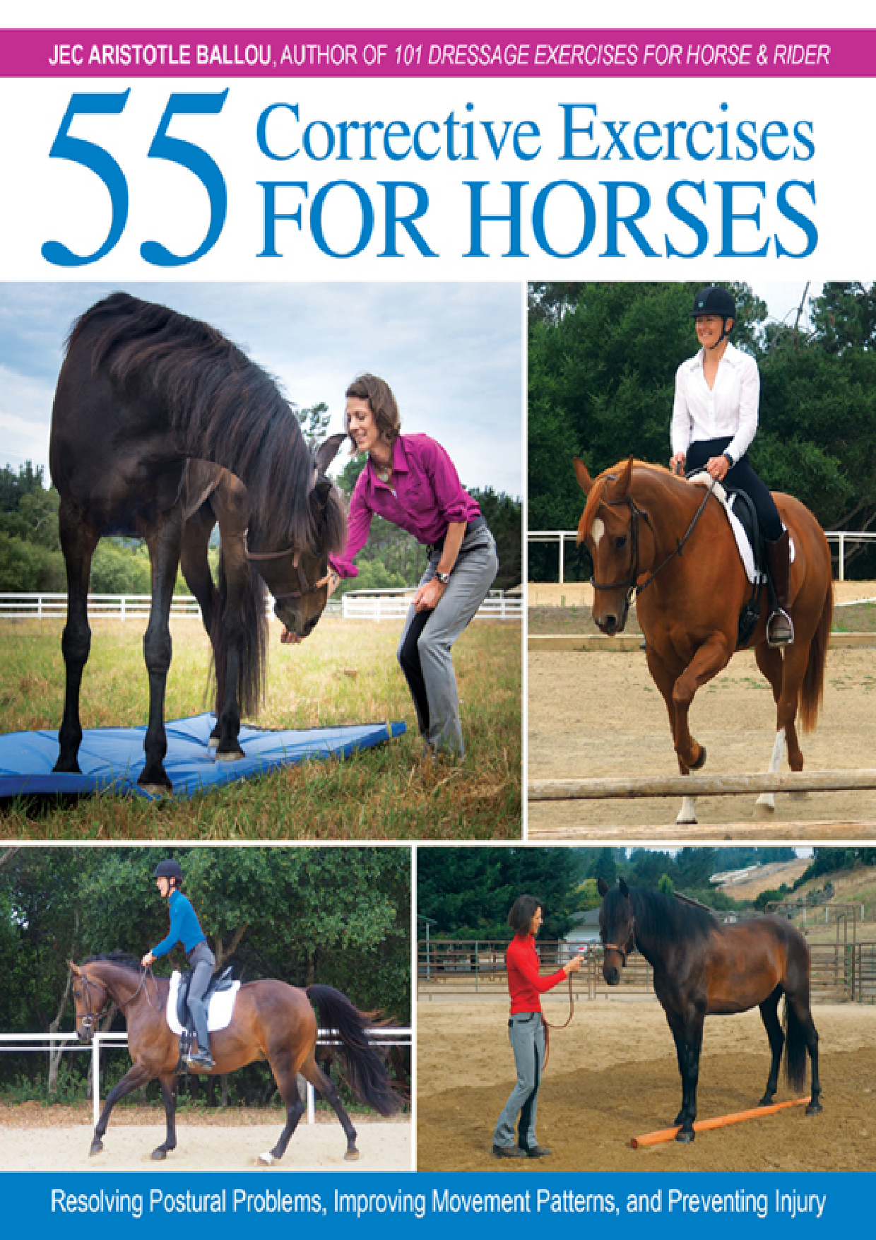 55 corrective exercises for horses resolving postural probl.jpg