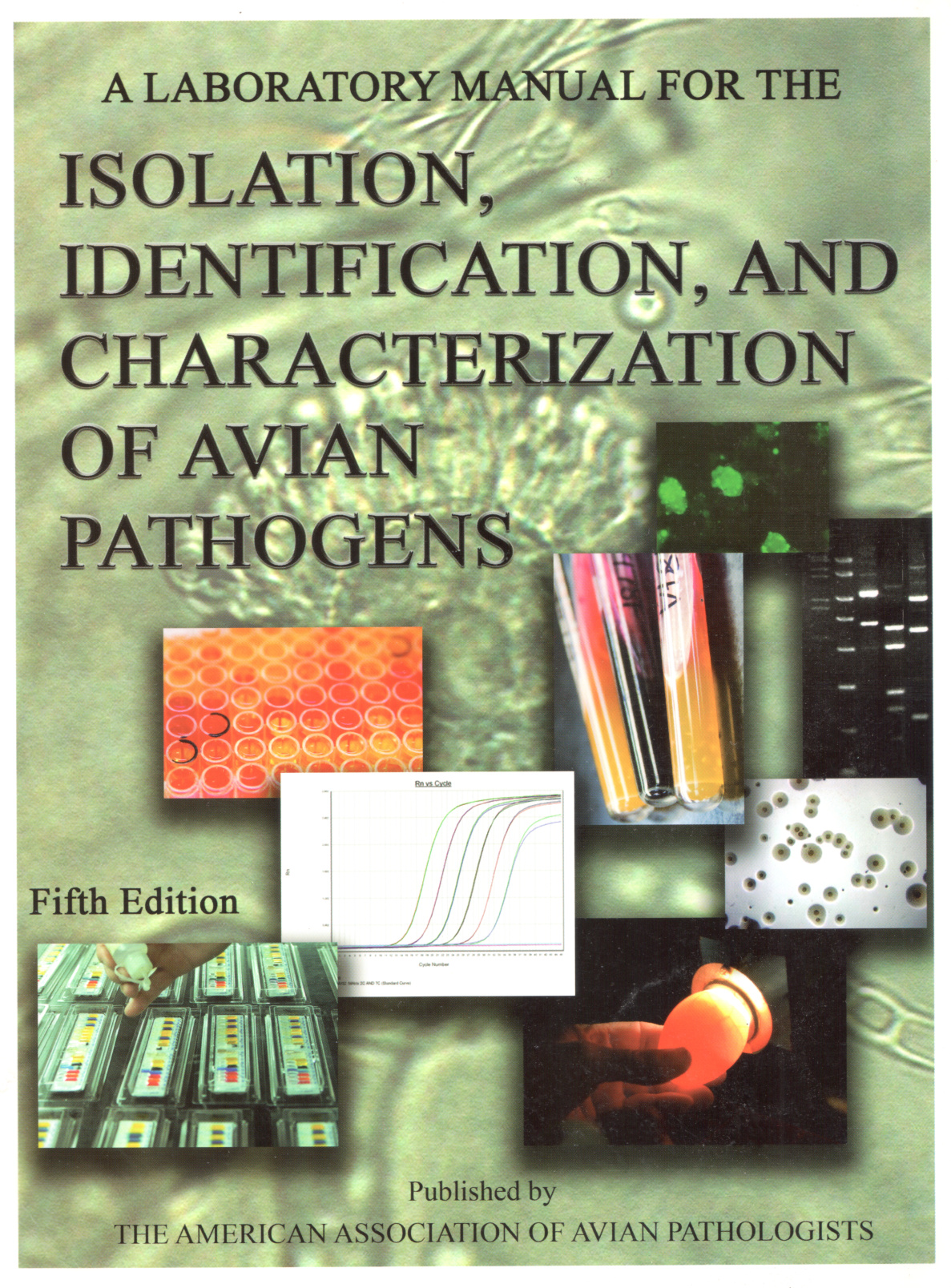 a laboratory manual for the isolation identification and ch.jpg