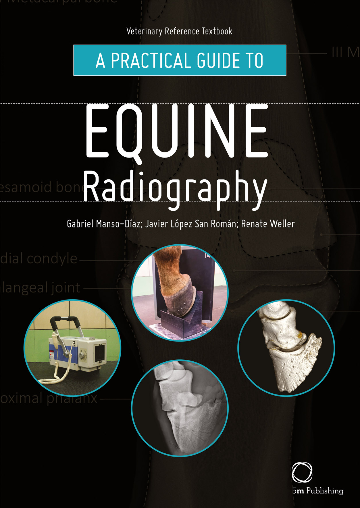 a practical guide to equine radiography ereadspot com .jpg a practical guide to equine radiography ereadspot com .jpg