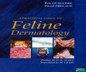 a practical guide to feline dermatology ereadspot 1.jpg