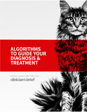 algorithms to guide your diagnosis and treatment ereadspot .jpg