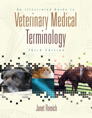 an illustrated guide to veterinary ereadspot.jpg