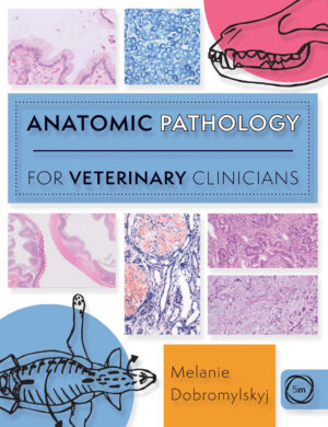 anatomic pathology for veterinary clinicians ereadspot com .jpg