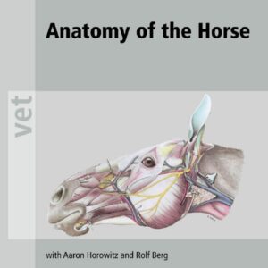 anatomy of the horse 6th edition (vet ebooks.com) unknown