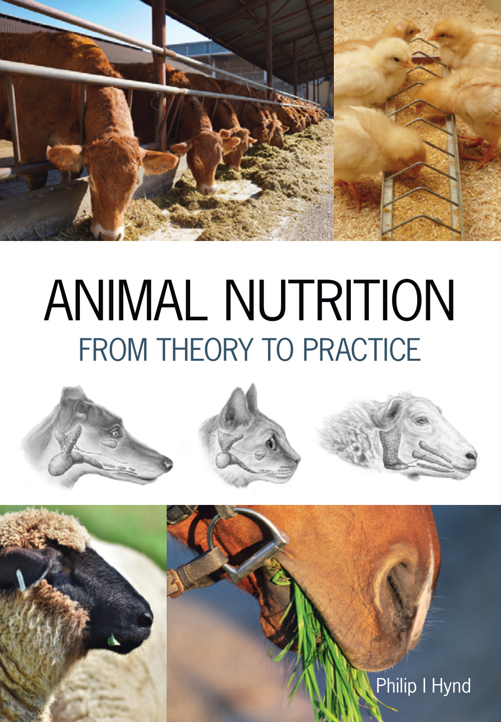 animal nutrition from theory to practice pdflibrary net 2 e.jpg animal nutrition from theory to practice pdflibrary net 2 e.jpg