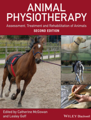 animal physiotherapy assessment treatment and rehabilitati.jpg