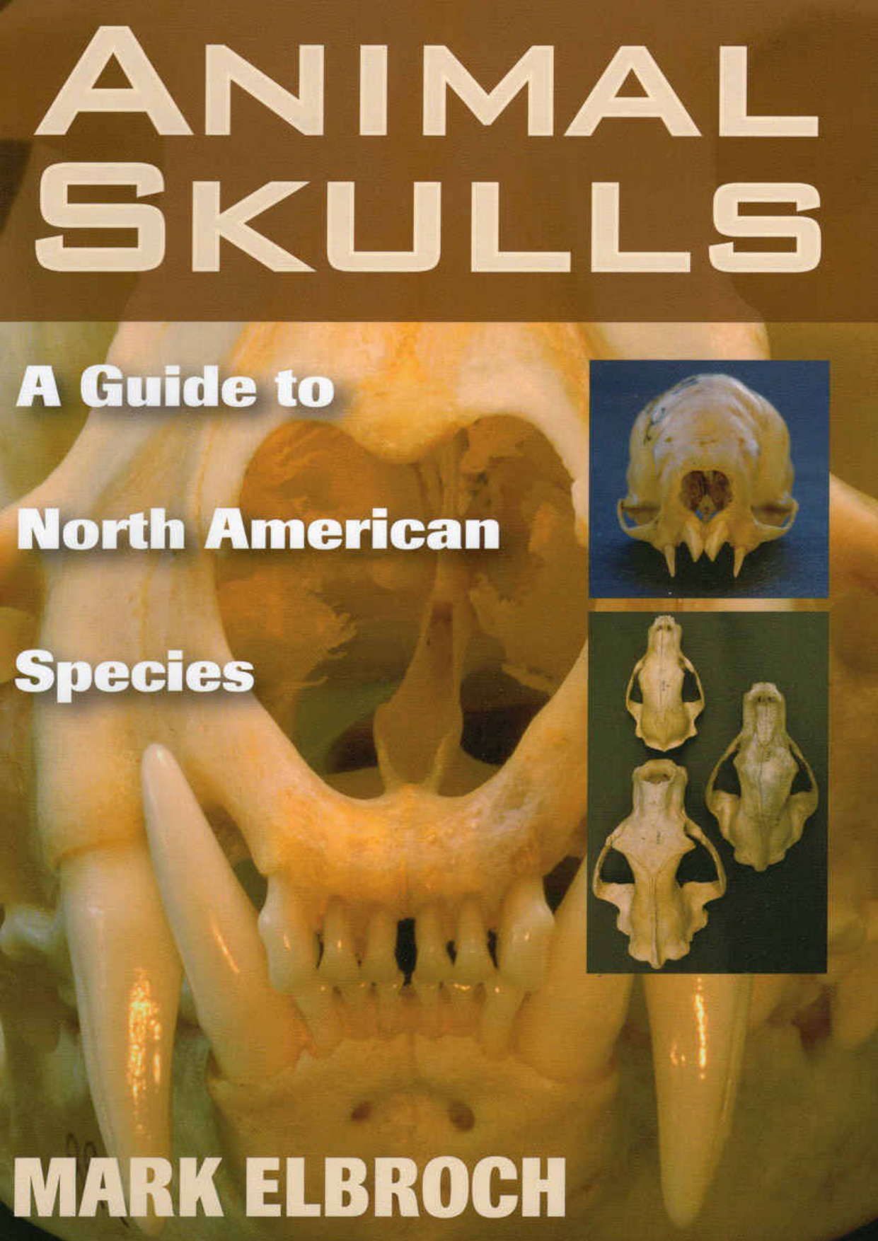 animal skulls a guide to north american species ereadspot .jpg