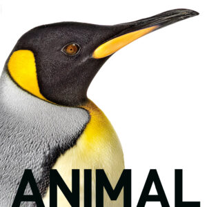 animal the definitive visual guide ereadspot com .jpg