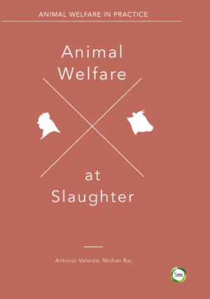 animal welfare at slaughter ereadspot com .jpg