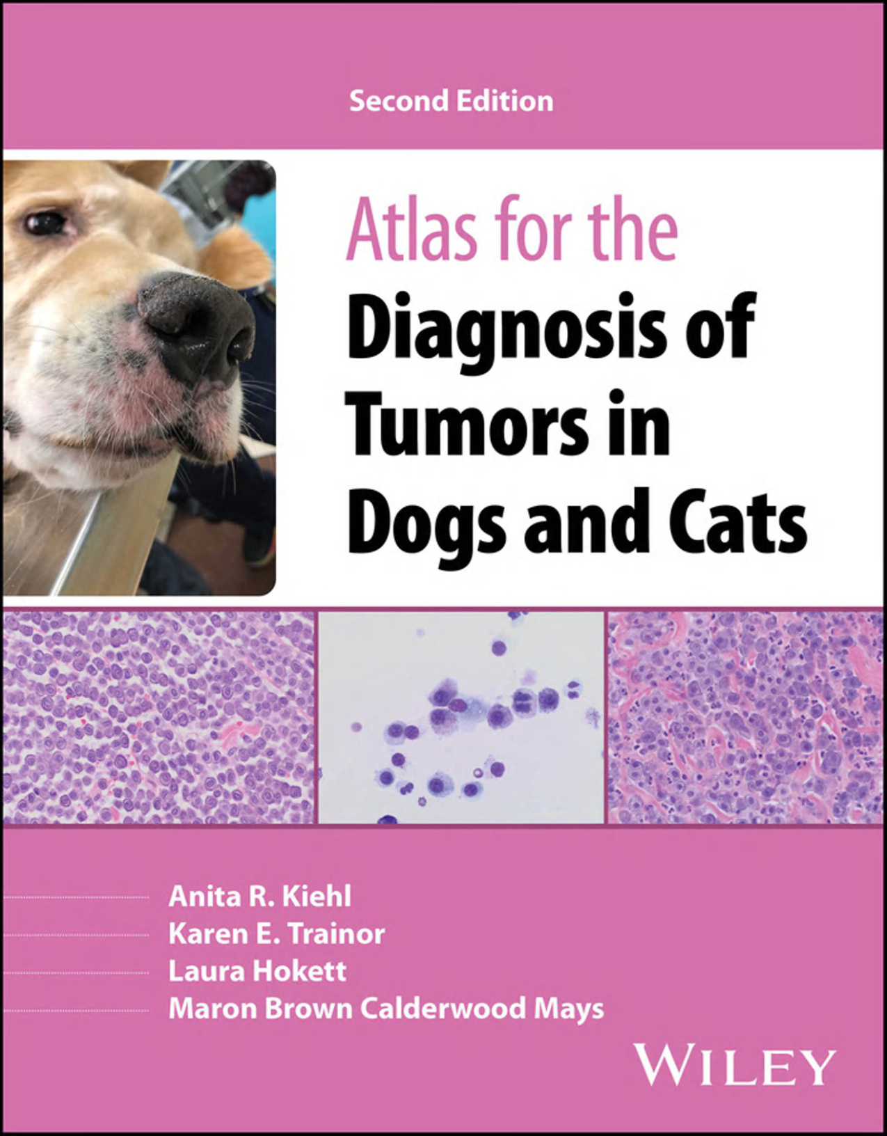 atlas for the diagnosis of tumors in dogs and cats anita r k 1.jpg atlas for the diagnosis of tumors in dogs and cats anita r k 1.jpg