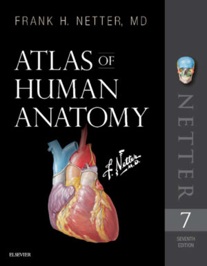 atlas of human anatomy 7th edition ereadspot com .jpg