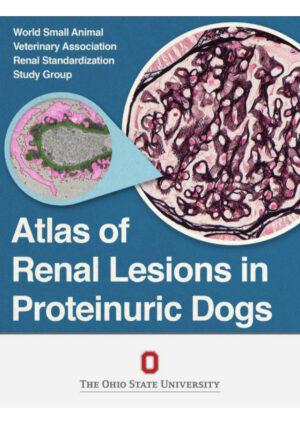 atlas of renal lesions in proteinuric dogs ereadspot.jpg