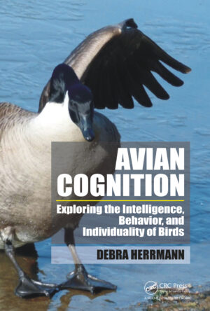 avian cognition exploring the intelligence behavior and i.jpg