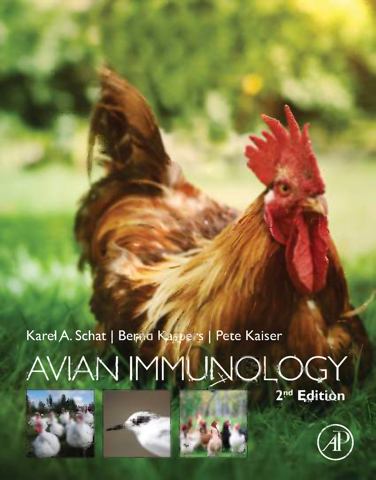 avian immunology 2nd edition ereadspot.jpg avian immunology 2nd edition ereadspot.jpg