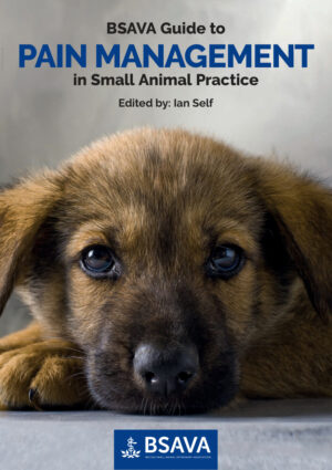 bsava guide to pain management in small animal practice erea.jpg
