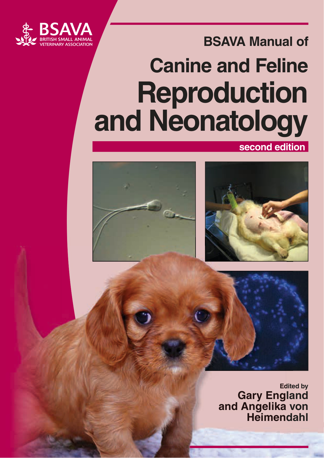 bsava manual of canine and feline reproduction and neonatolo 1.jpg