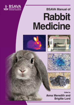 bsava manual of rabbit medicine ereadspot.jpg