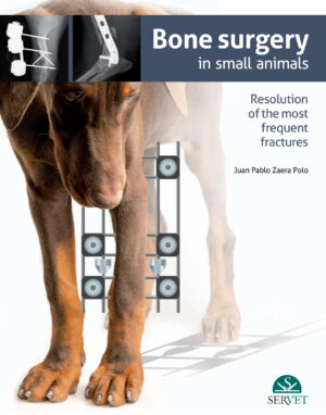 bone surgery in small animals resolution of the most frequen.jpg