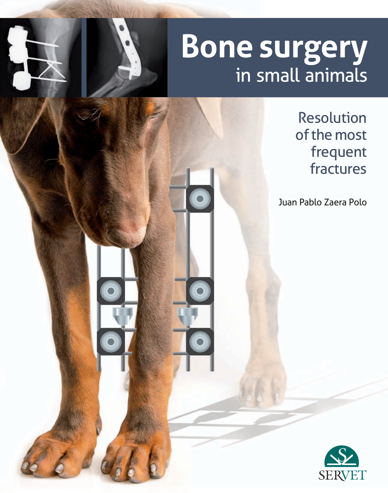 bone surgery in small animals resolution of the most frequen.jpg bone surgery in small animals resolution of the most frequen.jpg