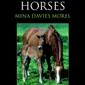 breeding horses unknown