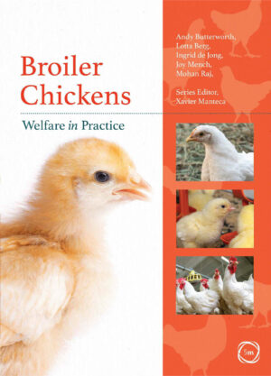 broiler chickens welfare in practice ereadspot com .jpg