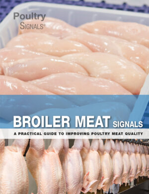 broiler meat signals ereadspot com .jpg