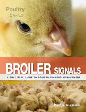 broiler signals a practical guide to broiler focused manage.jpg
