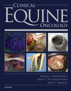 clinical equine oncology 2 ereadspot.jpg
