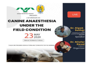 canine anaesthesia under the field condition 23 05 2020 erea.jpg