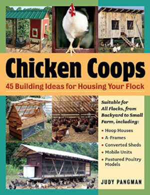 chicken coops 45 building plans for housing your flock ju.jpg