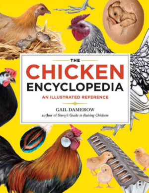 chicken encyclopedia an illustrated reference the gail d.jpg