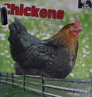 chickens hens roosters and chicks metz lorijo 2011 new yo.jpg