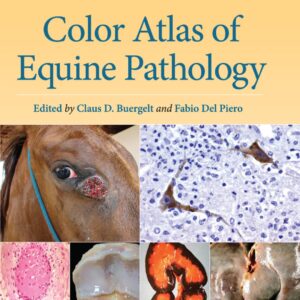 color atlas of equine pathology buergelt, claus d., del piero, fabio (1)