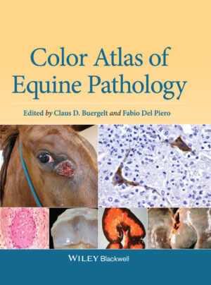 color atlas of equine pathology ereadspot com .jpg