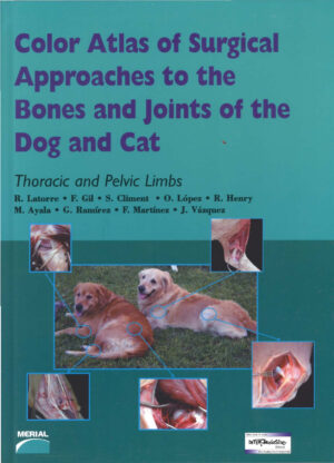 color atlas of surgical approaches ereadspot.jpg