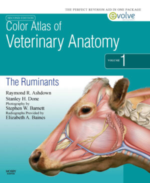color atlas of veterinary anatomy the ruminants 2nd editio.jpg