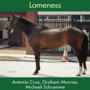 concise textbook of equine clinical practice book 1 lamenes.jpg