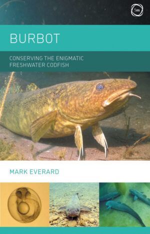 conserving the enigmatic freshwater codfish ereadspot com .jpg