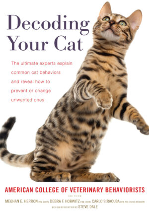 decoding your cat ereadspot com .jpg