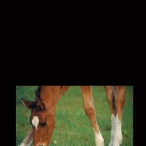 dermatology for the equine practitioner unknown