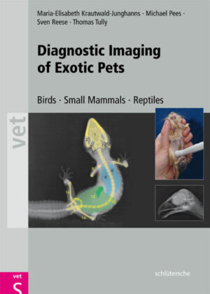 diagnostic imaging of exotic pets birds small mammals rept.jpg