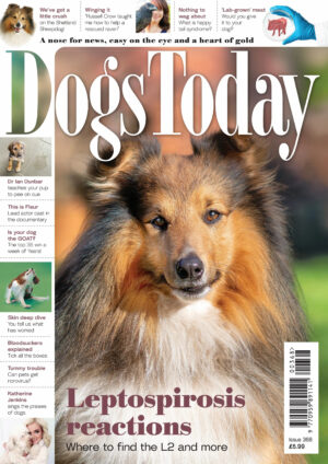 dogs today uk i368 2025 ereadspot.jpg