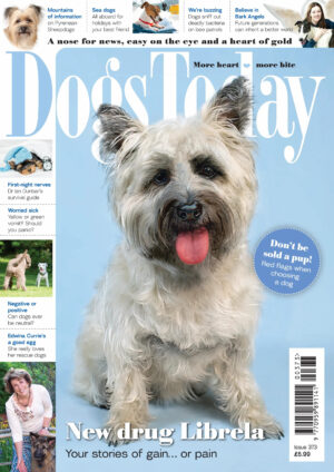 dogs today uk i373 2025 ereadspot.jpg