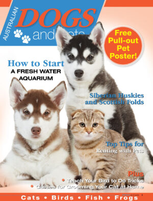 dogs and pets i8 2025 ereadspot.jpg